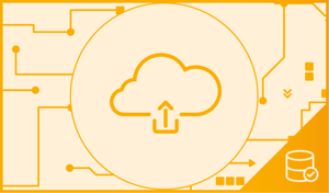 Verhuizen zonder gedoe? Zo migreer je jouw website naar een nieuwe host!